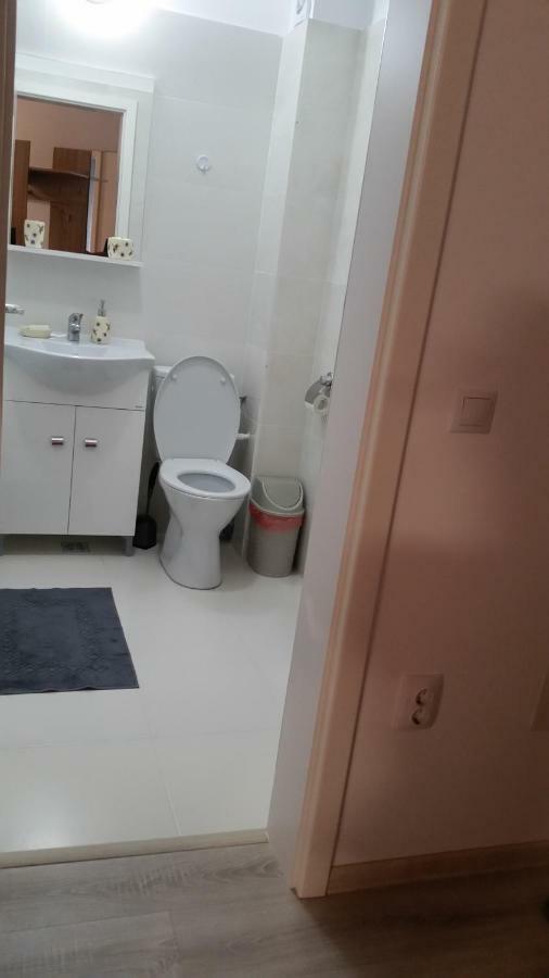 Kolonaki Domus Apartment Iasi Exteriör bild