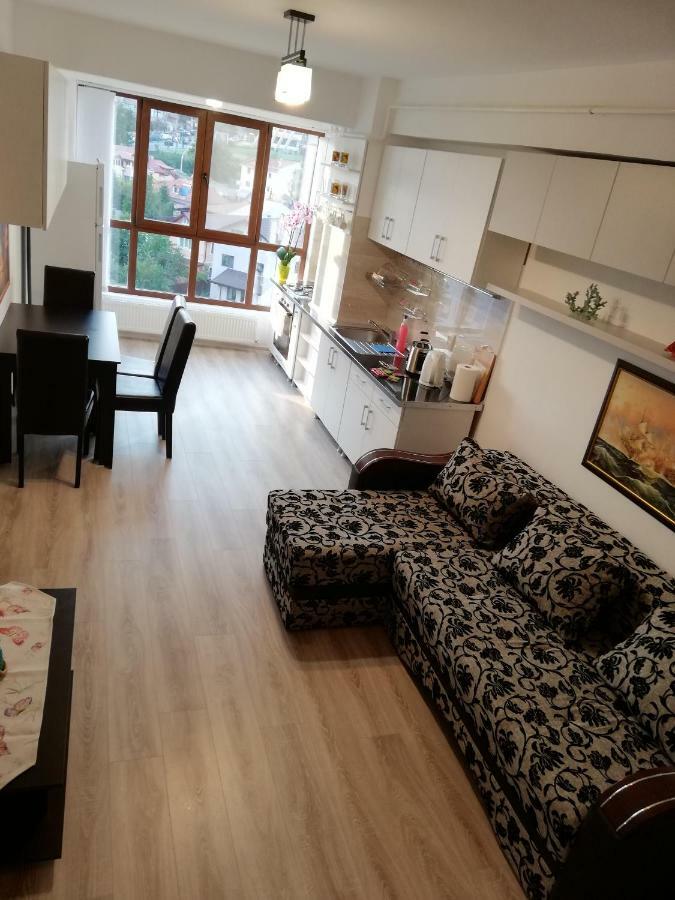 Kolonaki Domus Apartment Iasi Exteriör bild